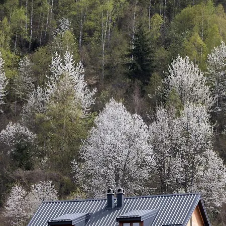 Biser Uvca I Zlatara